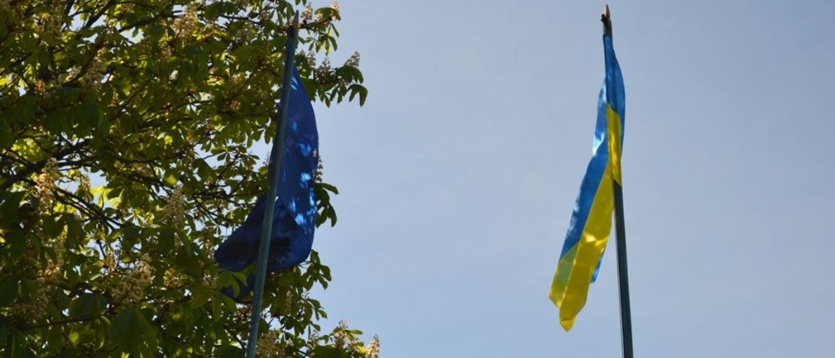 #БезвизНаш: в Добропольской райгосадминистрации торжественно поднял... #БезвизНаш: в Добропольской райгосадминистрации торжественно подняли флаги Украины и ЕС, Виталий Новиков